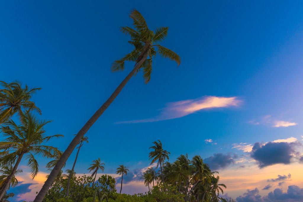 Sabba Summer Suite , Fodhdhoo - Maldives Kültér fotó